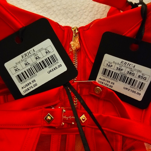 Honey Birdette Erica Burnt Orange Bra & Brief 38G & XL - Picture 3 of 3